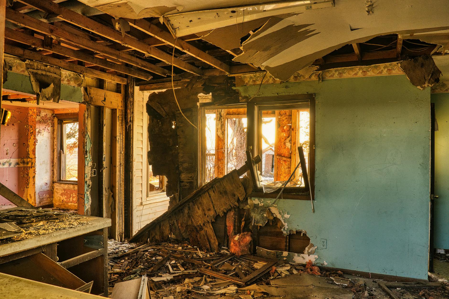 Mold Removal Mold Gallery Tampa